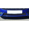 Ford Fiesta MK7.5 ST180 - Zunsport Lower Grille