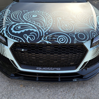 Audi TTRS MK3 Facelift - Front Splitter